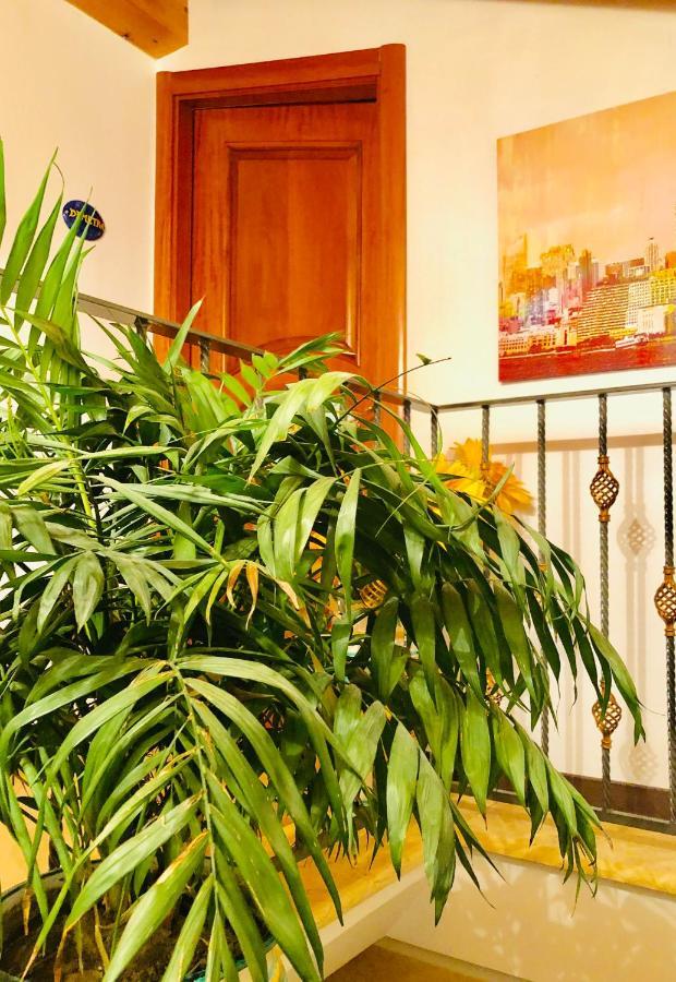 B&B Lemons Coast Четара Экстерьер фото